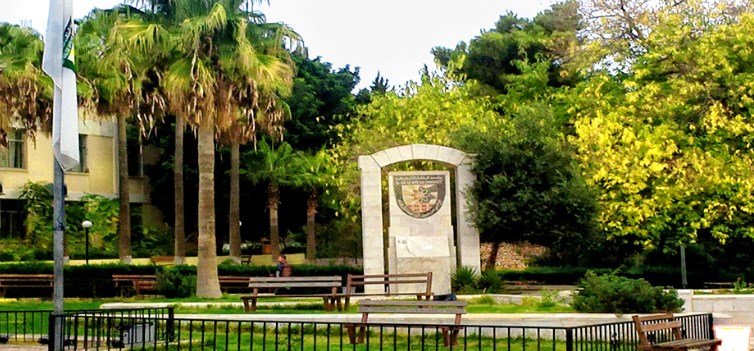 إعلان نتائج «الشامل» (رابط) (صور)