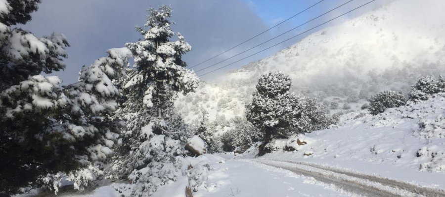 3 منخفضات جوية خلال فترة قصيرة