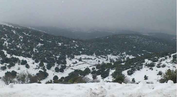 الأرصاد: أمطار غزيرة وتساقط للبرد وزخات