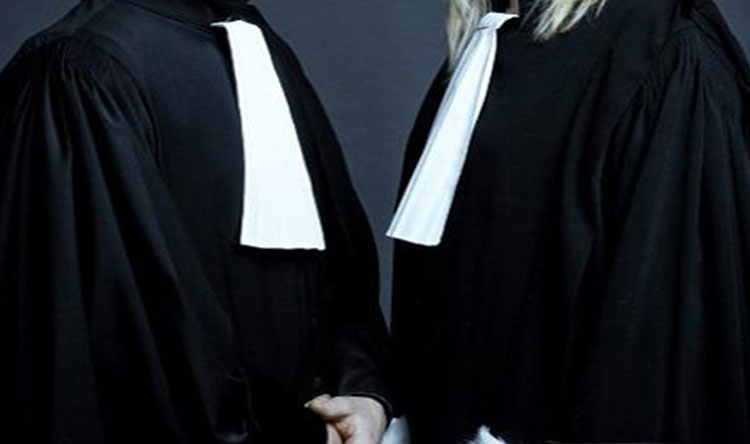 2834 شركة التزمت بتوكيل محامين.. بزيادة