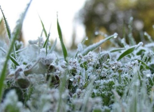 وادي الأردن تحذر المزارعين من آثار