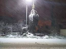 تساقط الثلوج على مرتفعات جرش