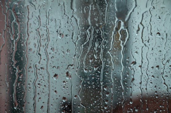 الباقورة أعلى هطول مطري خلال الـ