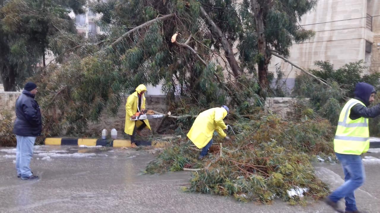 فرق الامانة تعالج 93 ملاحظة لسقوط