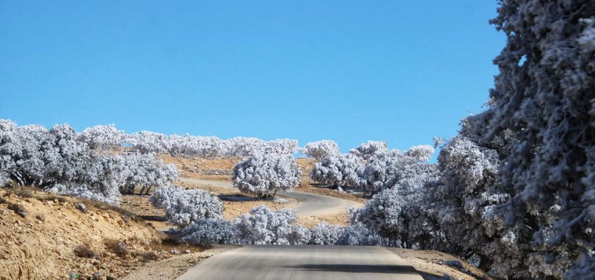 أجواء مستقرة وصقيع متوقع ليلا