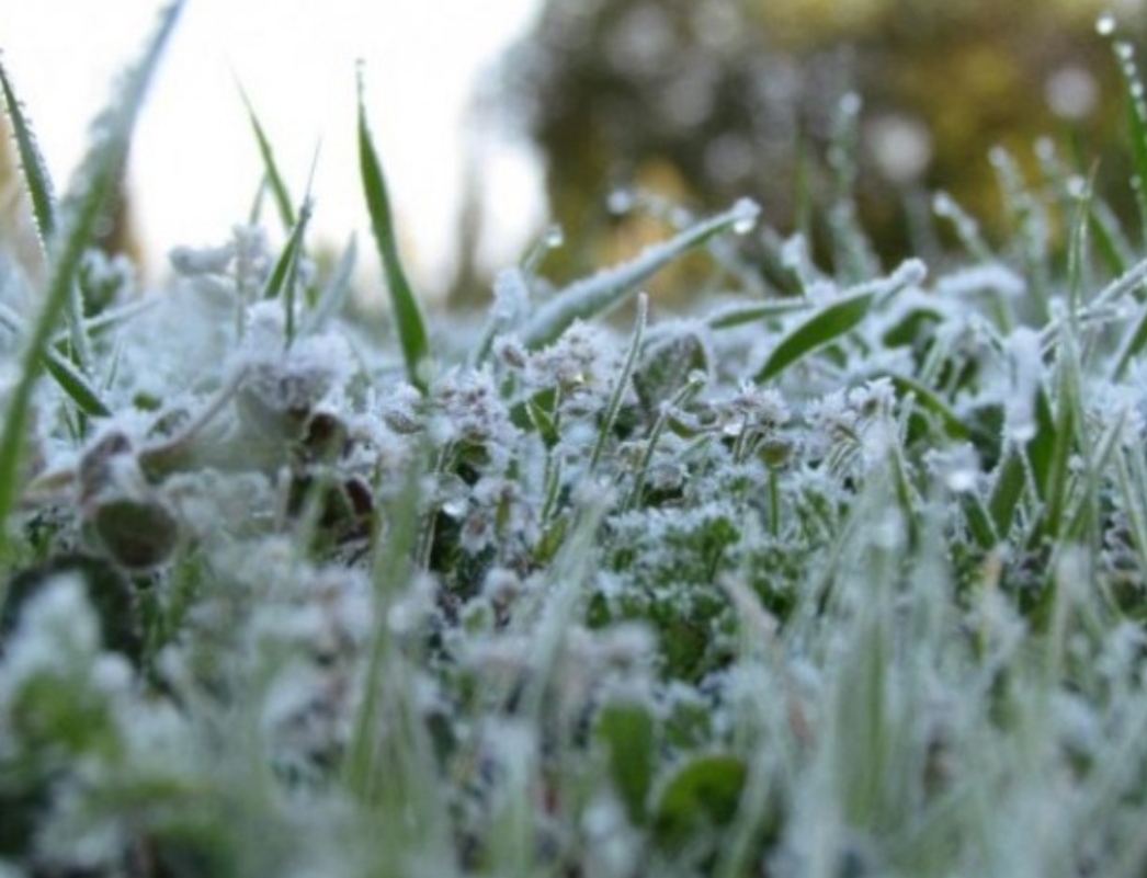 الزراعة تدعو المزارعين لأخذ الحيطة والحذر