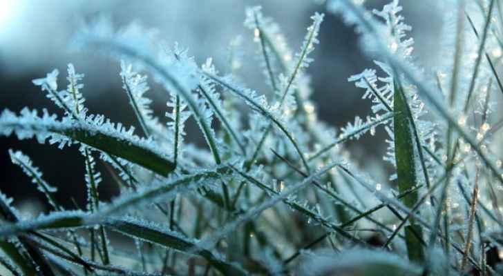 النشرة الجوية الأسبوعية .. بقاء الأجواء