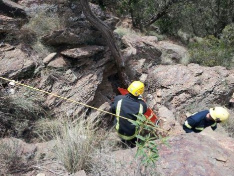 الدفاع المدني ينقذ شخصا اثر سقوطه