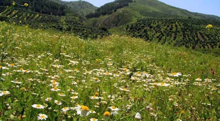 للراغبين بقضاء عطلة نهاية الاسبوع خارج