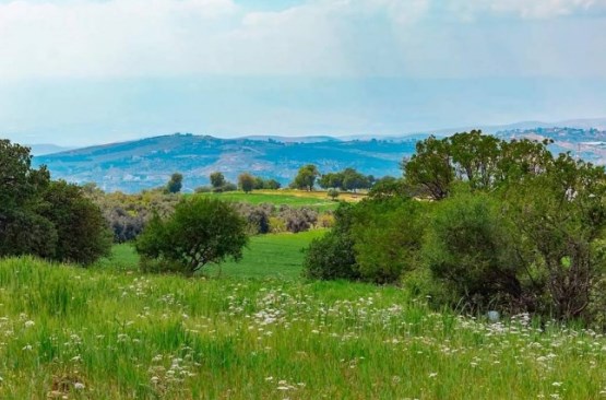 طقس لطيف اليوم وبارد نسبيا غدا