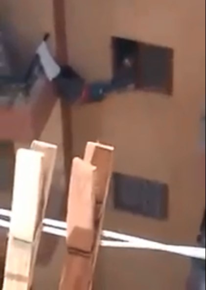 مصر.. أم بلا قلب .. ماذا