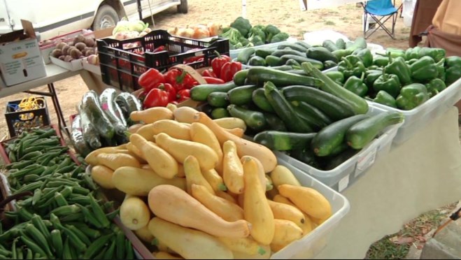 اعادة 54 طن محاصيل زراعية إلى