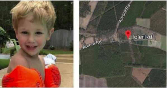 طرزان الجديد.. دببة تحمي طفلا تاه