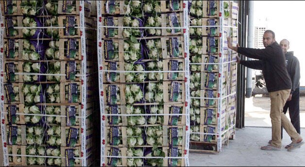 ابو وشاح: الصادرات الاردنية تدخل 130