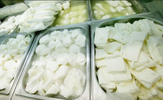 مادبا: إتلاف 600 كغم من الأجبان