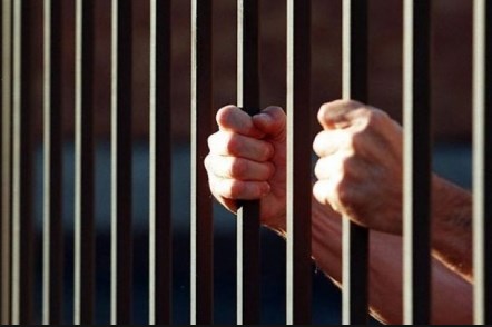 الافراج عن 38 موقوفا اداريا بالكرك