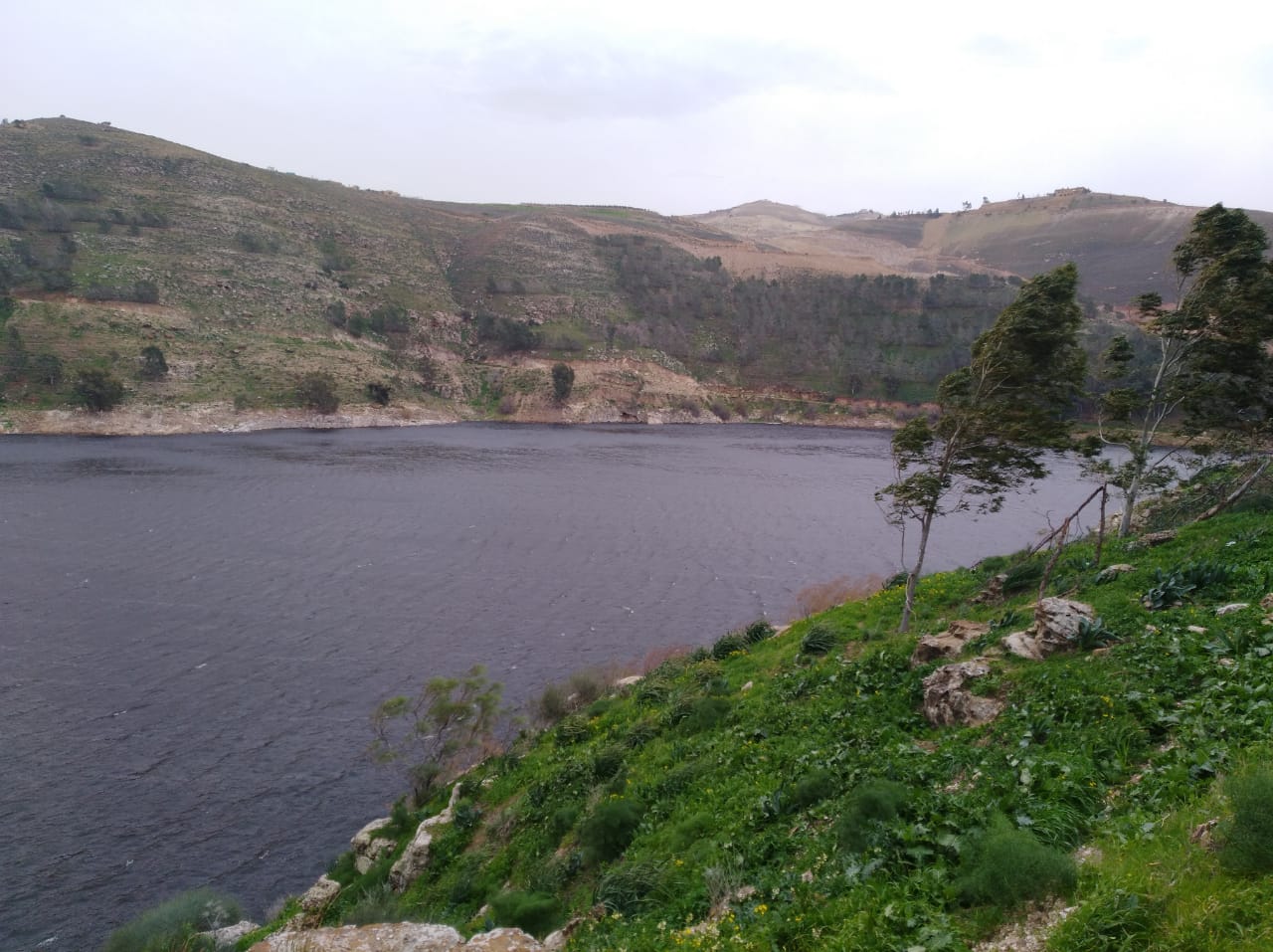 الهطولات المطرية تبشر بتعزيز مخازين السدود