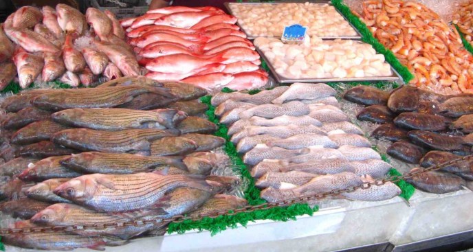 الاسماك المصرية في الاسواق الاردنية