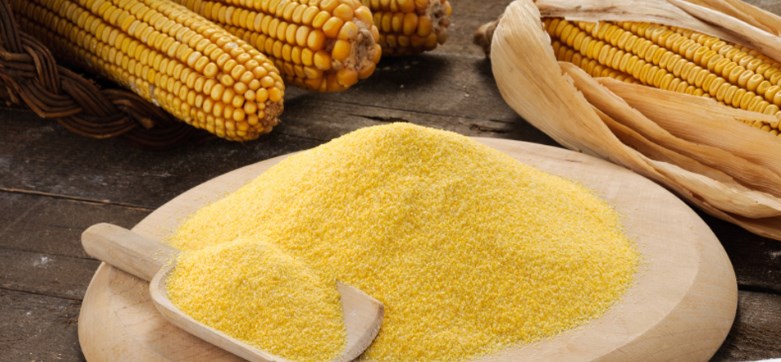 ضبط مصنع يبيع ذرة اعلاف غير