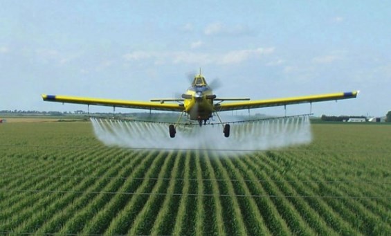 ما حقيقة التكتم الحكومي حول «اختفاء