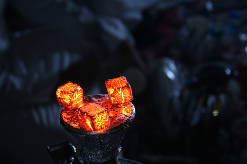 ضبط حدث يدير مقهى في إربد