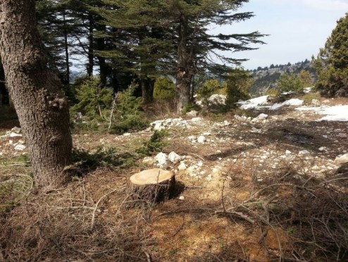 خطط لحماية المواقع الحرجية والغابات