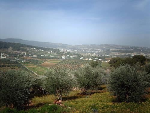 طائرة تهبط اضطراريا في برما بـ