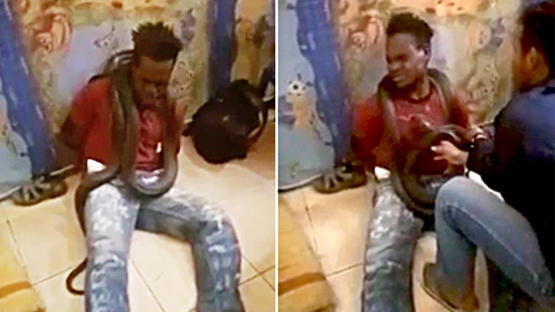 ضابط شرطة يحقق مع لص بثعبان