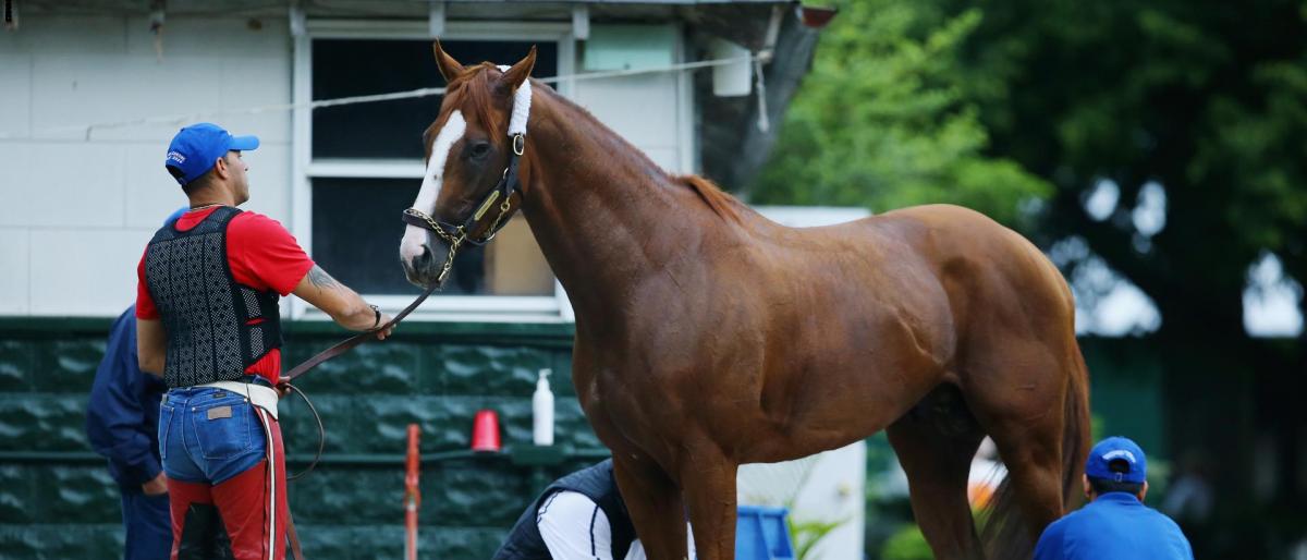 ما حقيقة انتشار إنفلونزا الخيول الموسمية