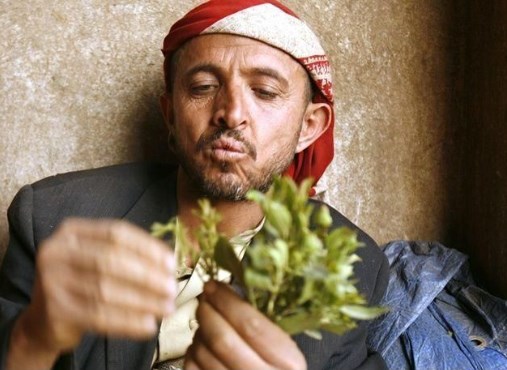 الامن اليمني يضبط محاولة تهريب «القات»