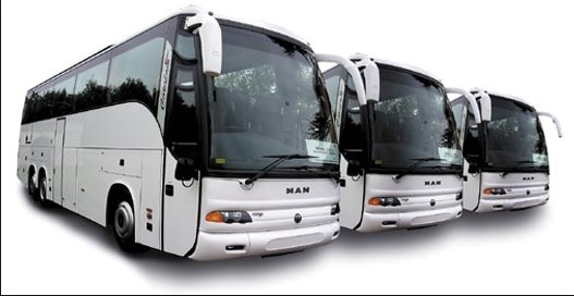 الخوالدة: تشغيل 135 «حافلة حديثة» داخل