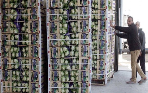 مزارعون أردنيون يطلعون على تجارب تسويقية