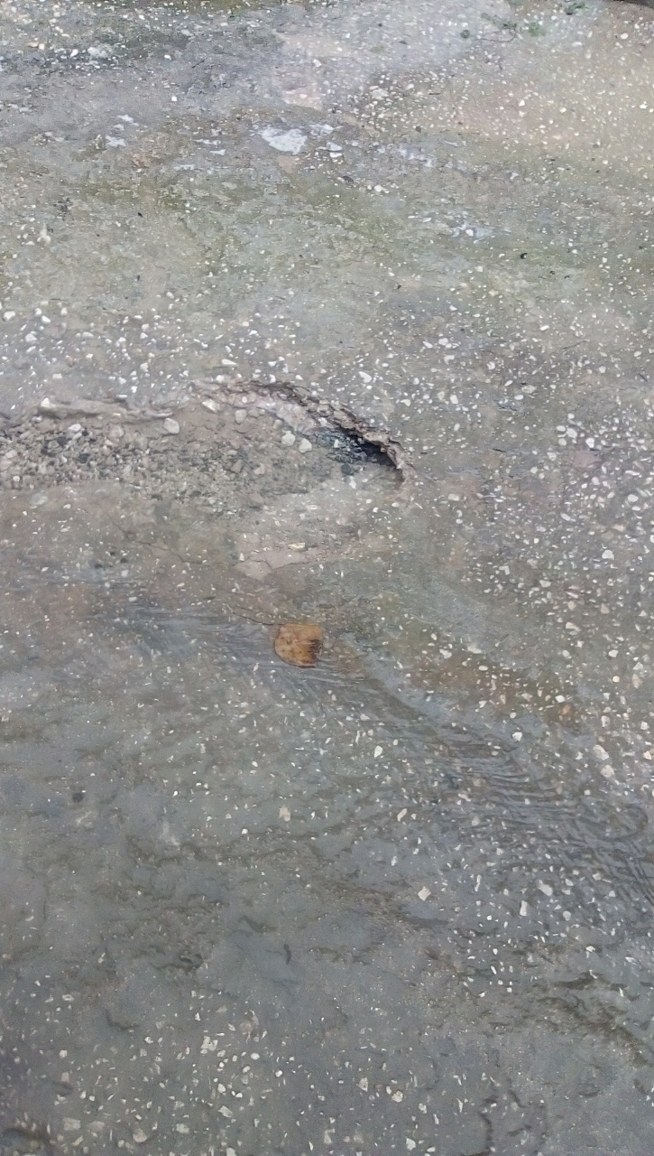 المحامي الساكت يتقدم بشكوى للمدعي العام