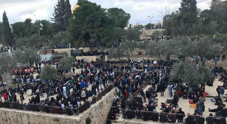 هبة باب الرحمة وفتح المصلى يثيران