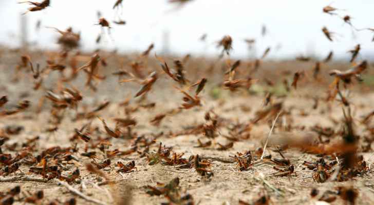 اجتماع حكومي يضم الجيش والأمن استعدادا