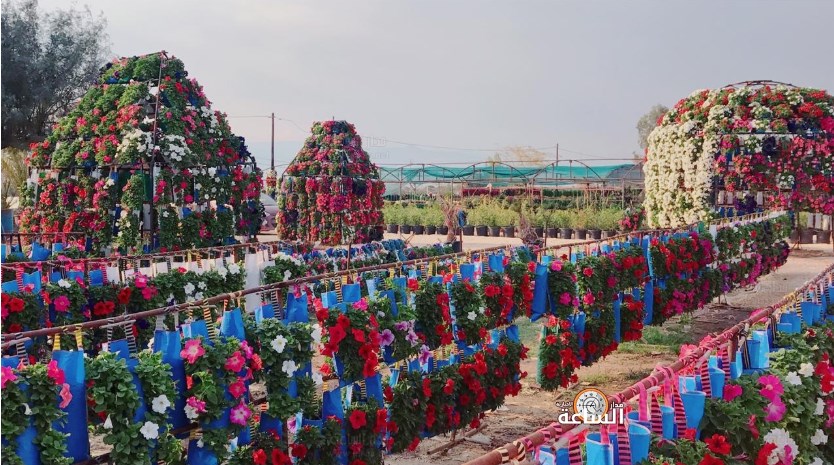 كرنفال للزهور في الأغوار (صور)