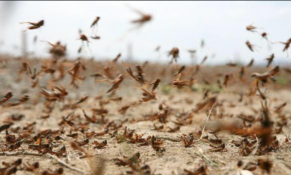 هل ينجي الطقس الأردن من غزو