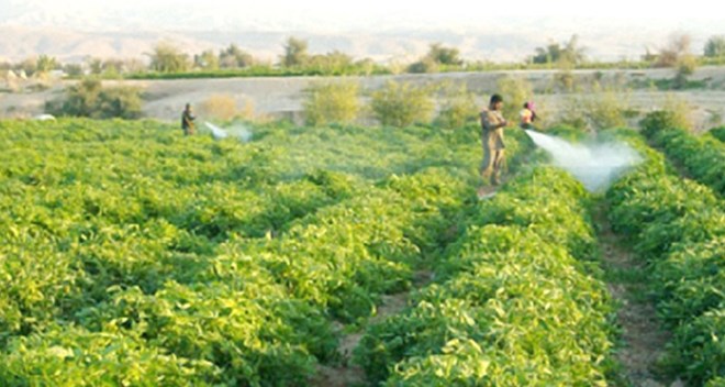 سلطة وادي الاردن توضح أسس توزيع