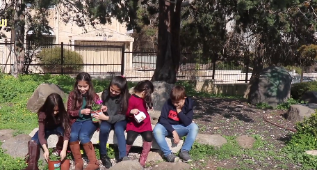 «يلا نملّي الأردن ورود».. لعلاج زينة