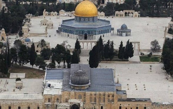 مجلس النقباء يشيد بموقف الحكومة حول