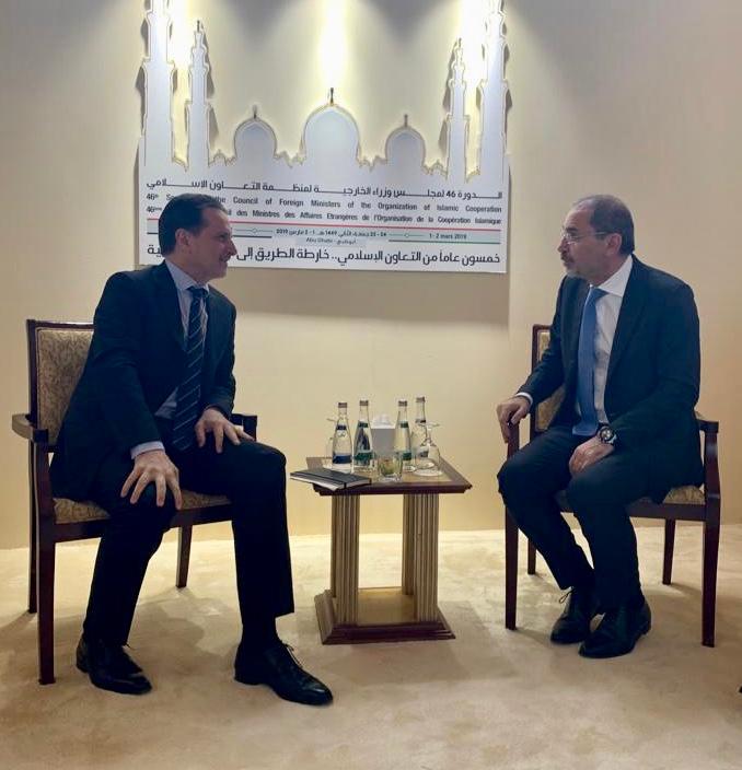 الصفدي يدعو المجتمع الدولي للاستمرار بتحمل