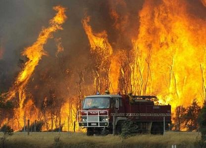 الحرائق تلتهم أستراليا