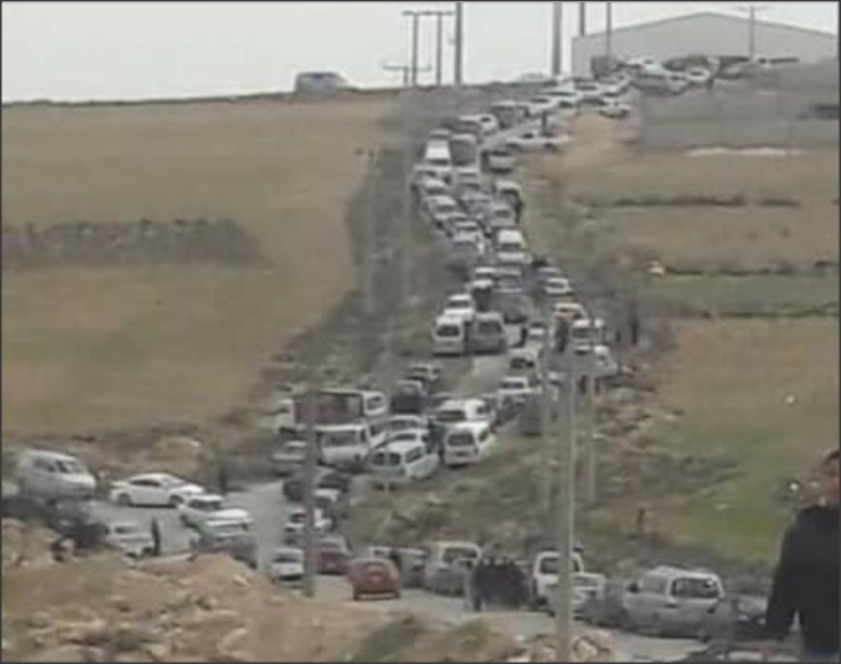 الطفيلة تخرج (صورة)