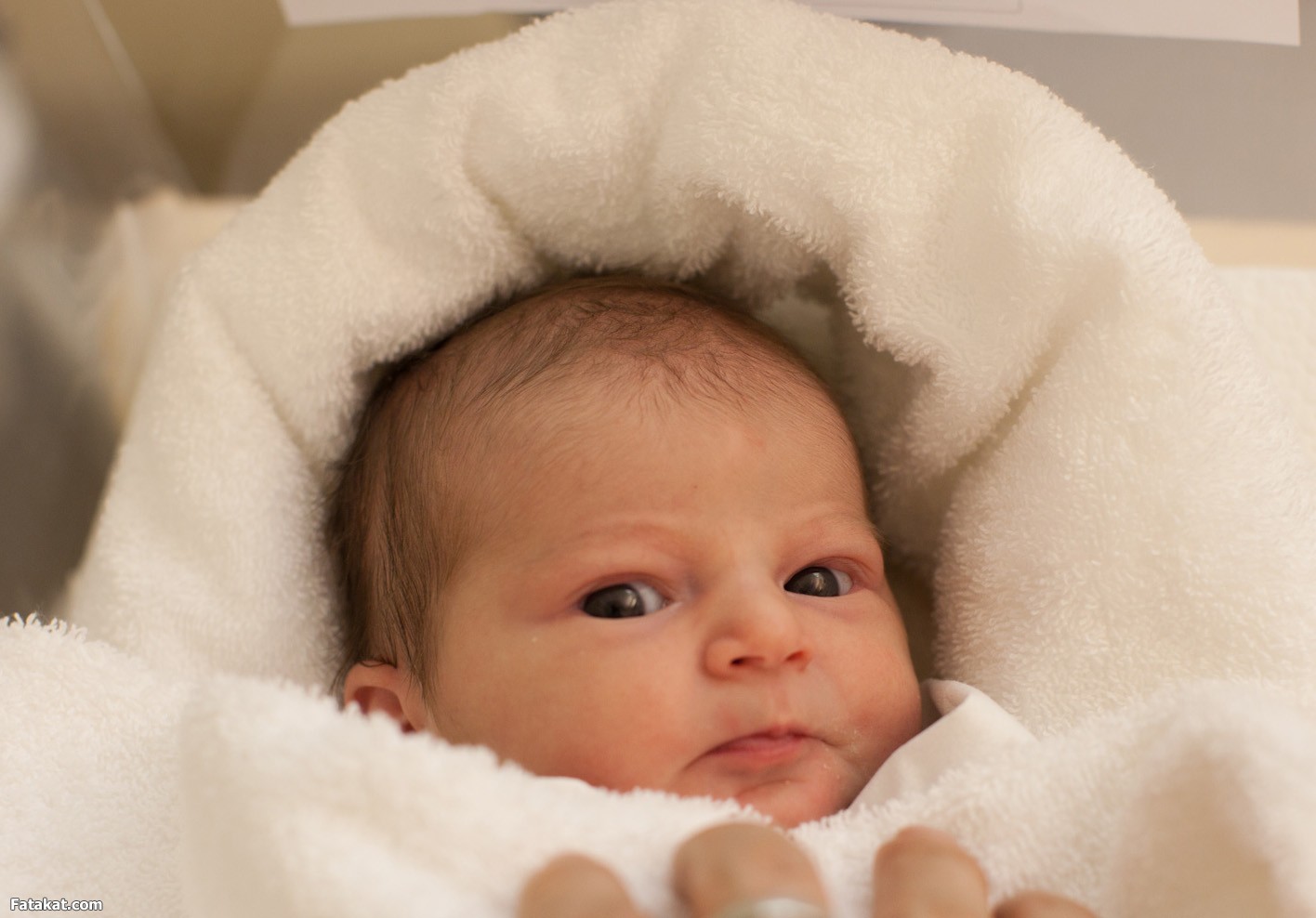 مولود جديد باسم أردوغان في الأردن