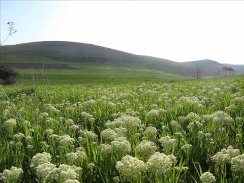 تعرف على طقس الأسبوع الحالي