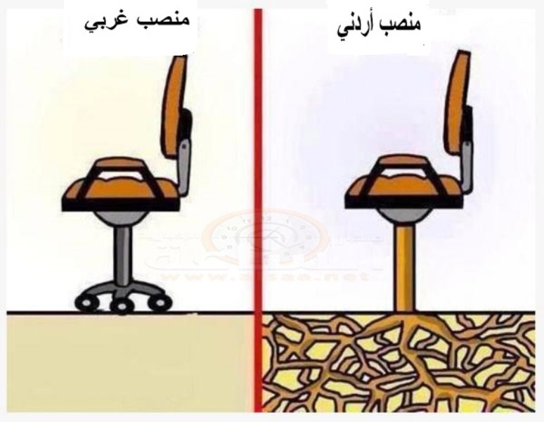 عبيدات يكتب من اسطنبول: جينات الدولة