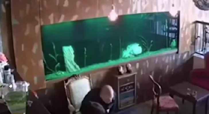 كاميرا مقهى تسجل انهيار حوض سمك