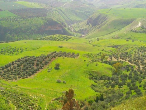 فصل الربيع يبدأ 20 من الشهر