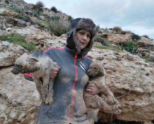 «حماية الطبيعة» تبحث عن سيدة أردنية