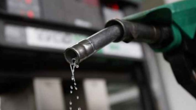 الحكومة: ارتفاع ملحوظ